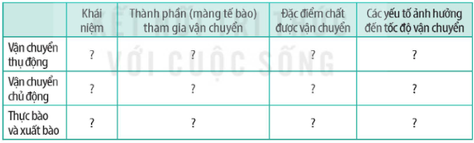 Tài Liệu Bee