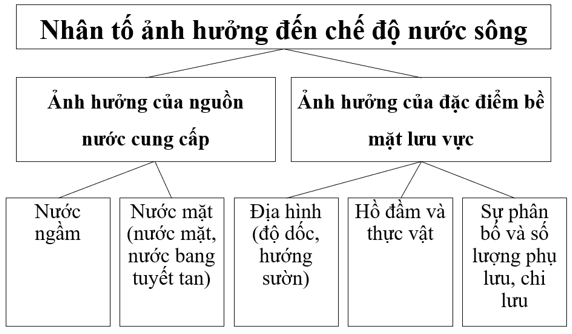 Tài Liệu Bee