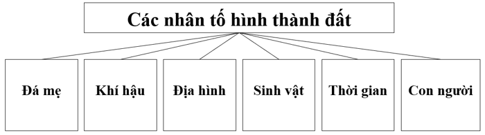 Tài Liệu Bee