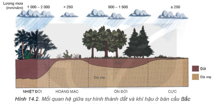 Tài Liệu Bee
