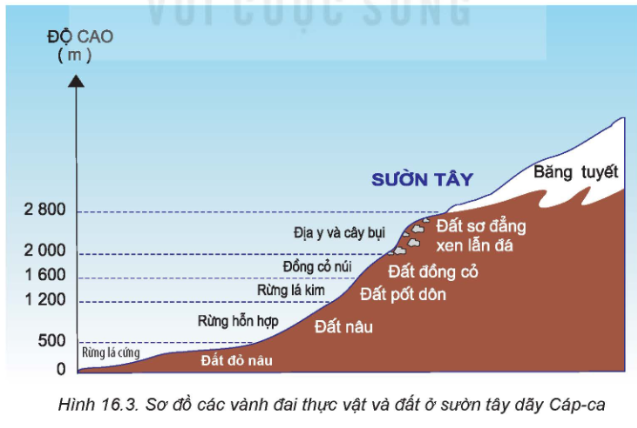 Tài Liệu Bee