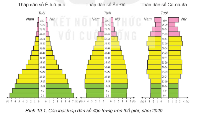 Tài Liệu Bee
