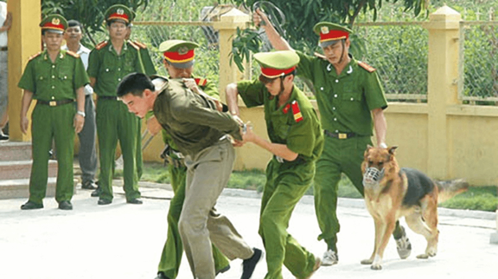 Tài Liệu Bee