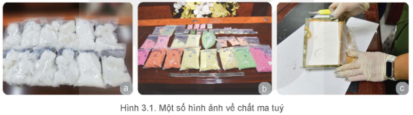 Tài Liệu Bee