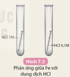 Tài Liệu Bee