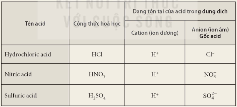 Tài Liệu Bee