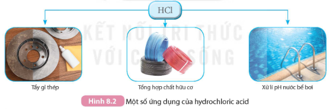 Tài Liệu Bee