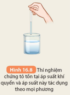 Tài Liệu Bee