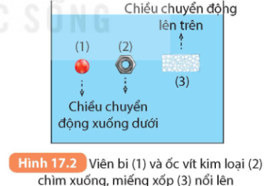 Tài Liệu Bee