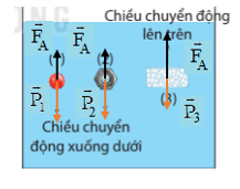 Tài Liệu Bee