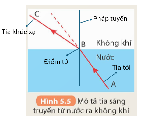 Tài Liệu Bee
